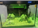 森森金麟超白玻璃鱼缸一体缸自循小型懒人家用水族箱LE-380 实拍图