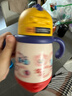 babycare儿童保温杯婴儿宝宝吸管水杯霸王龙不锈钢保温杯300ml-新旧款混发 实拍图