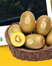 佳沛（zespri）意大利 阳光金奇异果12粒礼盒特大果单果约122-146g 猕猴桃 水果 实拍图