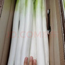 田良季正宗山东章丘大葱【顺丰速运】高白脆甜新鲜水果蔬菜葱特产送礼品 净重5斤| 净葱0.8米丨很划算 顺丰礼盒装【脆甜丨去皮去半叶】 实拍图
