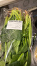 大菠菜300g 实拍图