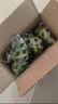 香水柠檬新鲜水果海南无籽青柠檬水果奶茶店专用 海南香水柠檬带箱1斤净重0.8斤单果60g起 实拍图