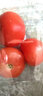 番茄约500g 实拍图