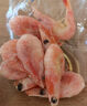 禧美海产 头籽北极甜虾2斤/盒 90/120 头籽率参考95%  爱沙尼亚甜虾 实拍图