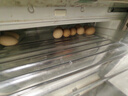 温氏供港鲜鸡蛋40枚/4斤家庭装 谷物喂养 无抗生素  牛奶早餐生鲜食材 实拍图