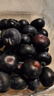 余悦云南花香蓝莓【多地次日达-JD/邮政空运】新鲜国产蓝莓超大果送礼 2盒【单果18mm+】125g/盒(净100g) 实拍图