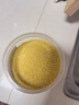 山西黄小米 油小米五谷杂粮月子米杂粮山西特产当季新米 2斤 新小米 实惠简装 实拍图