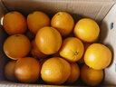 京觅 江西赣南脐橙血橙9斤净重红肉甜橙子单果200g起礼盒水果源头直发 实拍图