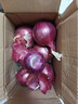 京鲜生 甘肃紫红皮洋葱净重5斤单果200g+ 现挖新鲜蔬菜 源头直发包邮 实拍图