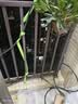 耐德斯特中文大屏自动浇花器定时浇水神器智能灌溉控制器+雾化喷头5组 实拍图