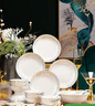 浩雅24头碗碟碗具套装景德镇陶瓷餐具套装碗盘碗碟盘餐具套装时光漫步 实拍图