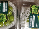 【产地直采】阳光玫瑰青提约500g 单果8g+ 实拍图