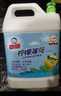 白猫 柠檬薄荷洗洁精5kg*4瓶（整箱装） A类食品用祛油除腥青柠薄荷香 实拍图