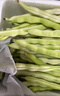 京鲜生山东新鲜白芸豆净重3斤装白不老新鲜蔬菜源头直发包邮 实拍图