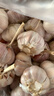 食尚半岛山东金乡鱼台大蒜农家自种干蒜新鲜蔬菜紫皮批发多瓣祘头当季 【中果】精品大蒜3斤 实拍图