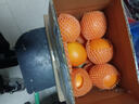 京鲜生 湖北秭归纽荷尔脐橙4.5斤单果150g+应季水果 源头直发包邮 实拍图