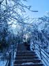 凌云鹤冰爪户外登山冰爪防滑鞋套雪地登山装备全套钓鱼鞋钉 冰爪8齿黑色【1对】 L码（40-45码） 实拍图