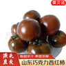 京地达山东巧克力番茄  净重4.5斤装 大黑西红柿酸甜沙瓤 源头直发 实拍图