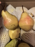 京地达烟台太婆梨软梨净重5斤单果130g新鲜香蕉大头啤酒梨 源头直发包邮 实拍图