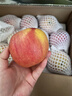 佳农新疆阿克苏冰糖心苹果8斤 果径80mm+ 25年新果 水果礼盒 实拍图