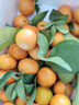 正宗广西砂糖橘当季新鲜水果皮薄多汁无籽橘子 超甜中大果带箱2斤 实拍图