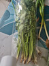 【24小时菜】大芹菜约400g 实拍图