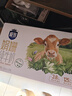 三元极致娟姗纯牛奶整箱250ml*10盒 年货礼盒【新老包装随机发货】 实拍图