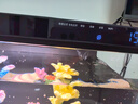 米家（MIJIA）小米米家智能生态鱼缸还原自然生态补仓一次三月无忧出差旅行必备 实拍图