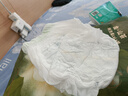 babycare金山茶花拉拉裤L38片(9-14kg)婴儿尿不湿超薄透气新生柔花苞裤 实拍图