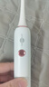 博皓（prooral）声波电动牙刷护齿压感提醒成人充电式情侣送礼生日礼物 T33白雪【生日节日礼物】 实拍图