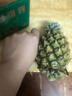 正宗海南金钻凤梨新鲜水果当季树上熟芒果凤梨【催熟食用】 1粒装单果500g-650g【7成熟，催熟再吃】 实拍图