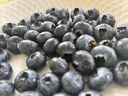 京鲜生有机蓝莓智利原装进口冷冻蓝莓生鲜水果800g 实拍图