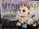 科学怪兽儿童玩具女男孩3-6-7岁ai狗猫遥控车机器人8-12岁生日圣诞节礼物 实拍图