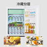 奥克斯（AUX）70升家用单门迷你小型单冷藏保鲜节能冰箱宿舍租房BC-70P128L 实拍图