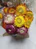 爱满干花 真花 云南麦杆菊花小雏菊天然风干花束摆设插花网红装饰摆件 麦秆菊彩色一束（60朵） 干树枝 实拍图