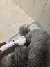 来旺兄弟宠物吹风机猫咪狗狗洗澡梳毛拉毛造型吹毛一体机PD-9900白色 实拍图