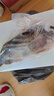京乐狳桂鱼淡水鳜鱼鳌花鱼现捕鲜活现杀整条季花鱼 一条约750g(净膛前)现杀现发 一条装 实拍图