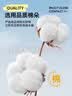 全棉时代女士高腰【年度热销款5A抗菌】高弹不变形不闷汗内裤女3条装 实拍图