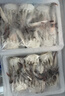 【冷冻】至鲜 吕四冻梭子蟹小蟹块600g约30-42块 液氮速冻免处理海螃蟹新鲜海鲜200g*3 实拍图