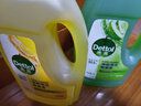 滴露地板清洁剂 木地板瓷砖擦拖洗地机可用 非草酸保养蜡乳胶漆清洁片 【杀菌99.9%】柠檬2L+青苹2L 实拍图