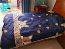 南极人大学生宿舍六件套单人床单被套床垫枕芯上下铺被子全套床上用品三 期待 六件套/四件套+3斤被芯+0.9m床垫 实拍图