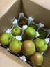 京鲜生 河北翡翠玉露香梨 净重8斤 单果230g+ 生鲜水果 源头直发 实拍图