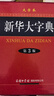 新华大字典 第3版大字版 2021新版超大开本 新华字典新版 多功能学生字典  实拍图