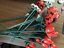 乐高（LEGO）积木拼装10328 玫瑰花束永生花男孩女孩玩具生日圣诞礼物 实拍图