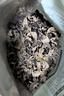 燕之坊东北长白山黑木耳500g特产肉厚无根无杂高泡发干货炒菜凉拌 实拍图