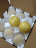 京鲜生安徽砀山黄金冰糖梨 净重5斤装 单果200g+ 生鲜水果源头直发 实拍图