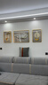 Sixpoetry 客厅装饰画现代简约沙发背景墙壁画轻奢三联晶瓷画大气高档挂画 幸福美满（铝合金外框） 晶瓷画左右35*50+中间70*50亮面 实拍图