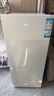海尔（Haier）【山茶花】138升立式小冰柜家用小型风冷无霜冷藏柜冷冻柜冷柜商用小冰箱BD-138WGH90WF 实拍图