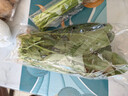 带根香菜100g 实拍图