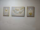 诗六艺家饰客厅装饰画北欧现代简约沙发背景墙挂画三联画大气轻奢壁画晶瓷画 羽鹿生辉（铝合金外框） 晶瓷画左右35*50+中间70*50亮面 实拍图